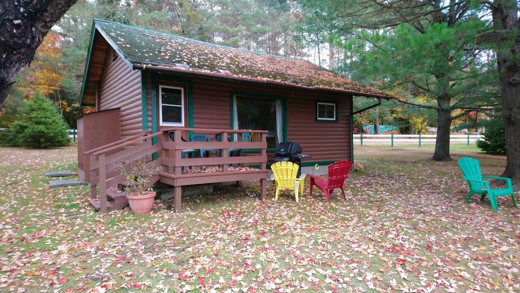 Logging Chain Lodge Cottages | 2840 ON-60, Dwight, ON P0A 1H0, Canada | Phone: (877) 635-2575