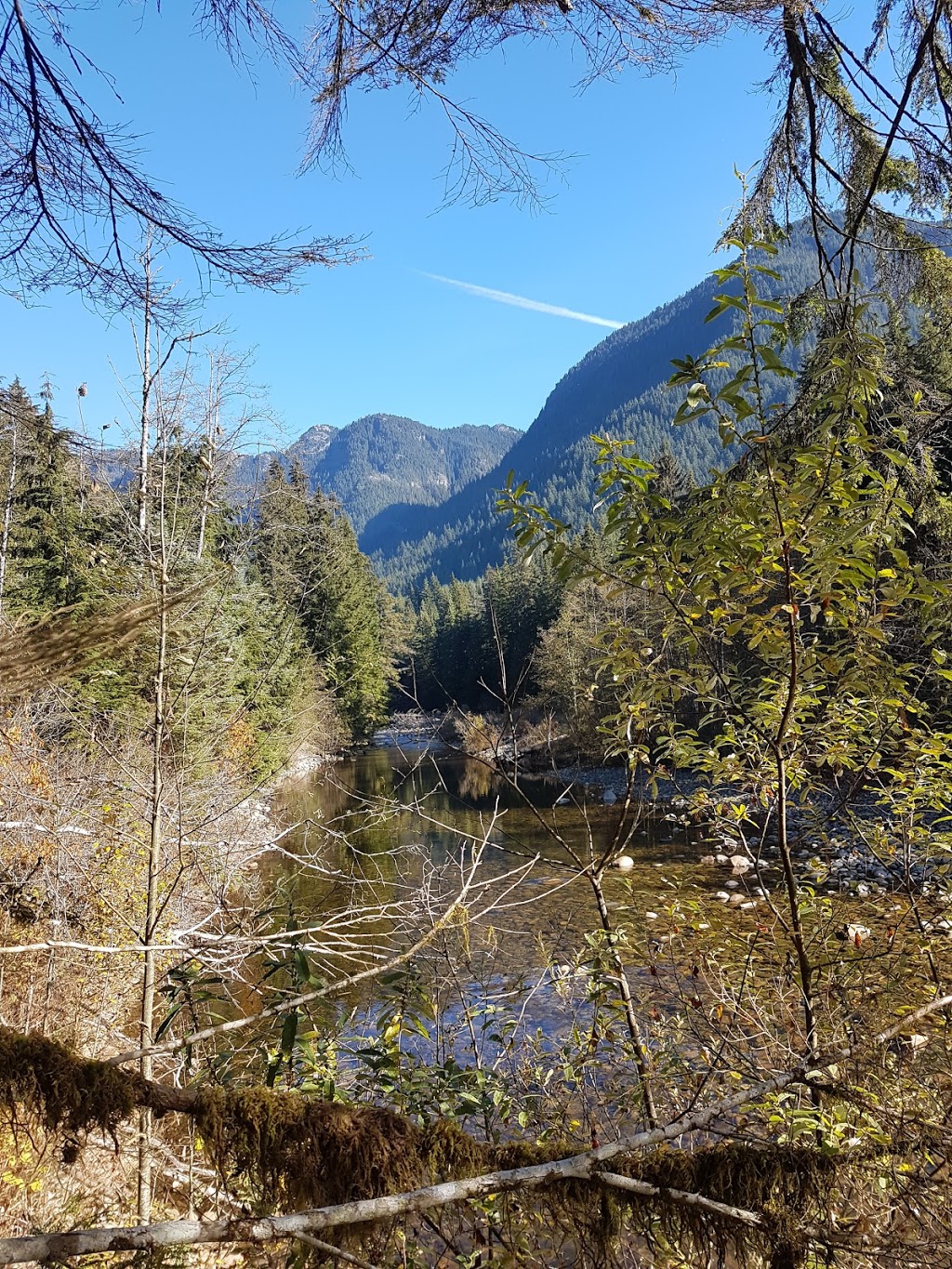 Fishermans trail | Spur 4, North Vancouver, BC V7J, Canada