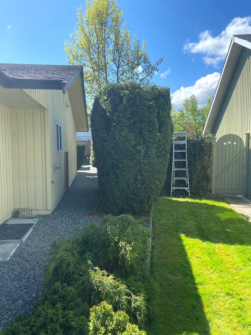 Pacific Roots Tree Service | 3085 Island View Rd, Saanichton, BC V8M 1W3, Canada | Phone: (778) 678-1933