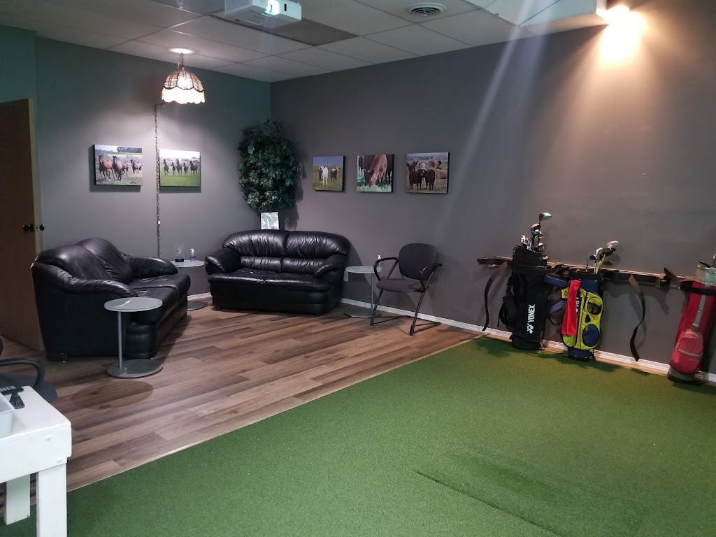 Acme Simulated Golf | 127 Main St, Acme, AB T0M 0A0, Canada | Phone: (403) 993-0429