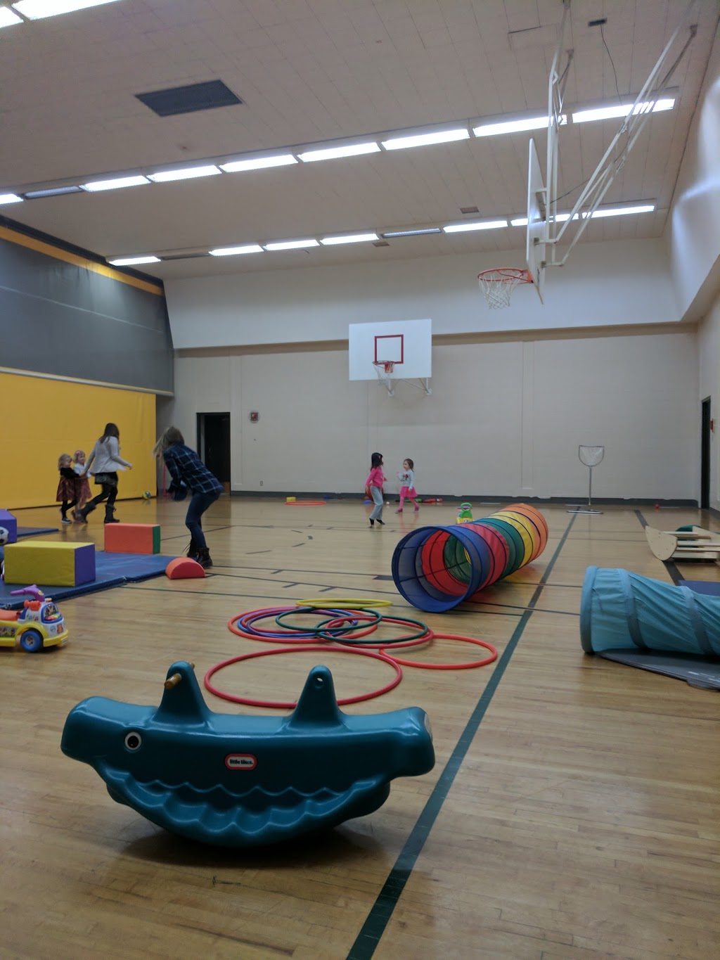 Vecova Recreation Centre | 3304 33 St NW, Calgary, AB T2L 2A6, Canada | Phone: (403) 284-2231