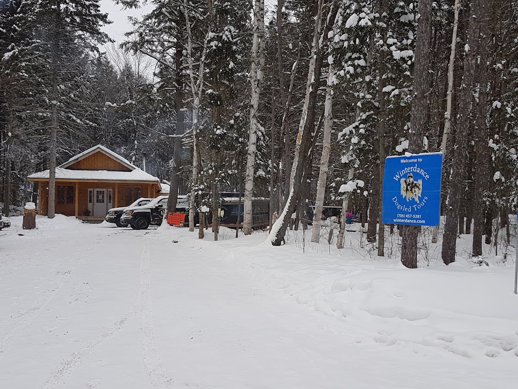 Winterdance Dogsled Tours | Hodgson Dr, Eagle Lake, ON K0M 1M0, Canada | Phone: (705) 457-5281