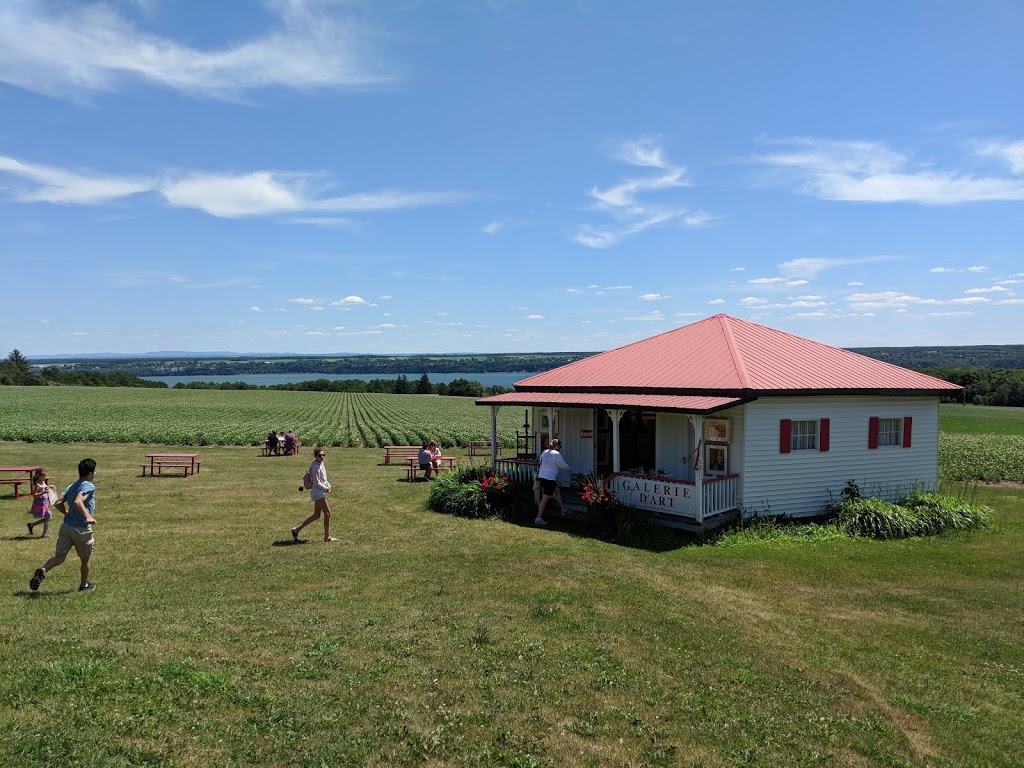 Galerie dart Ilot de lîle | 7327 Chemin Royal, Saint-Laurent-de-lÎle-dOrléans, QC G0A 3Z0, Canada