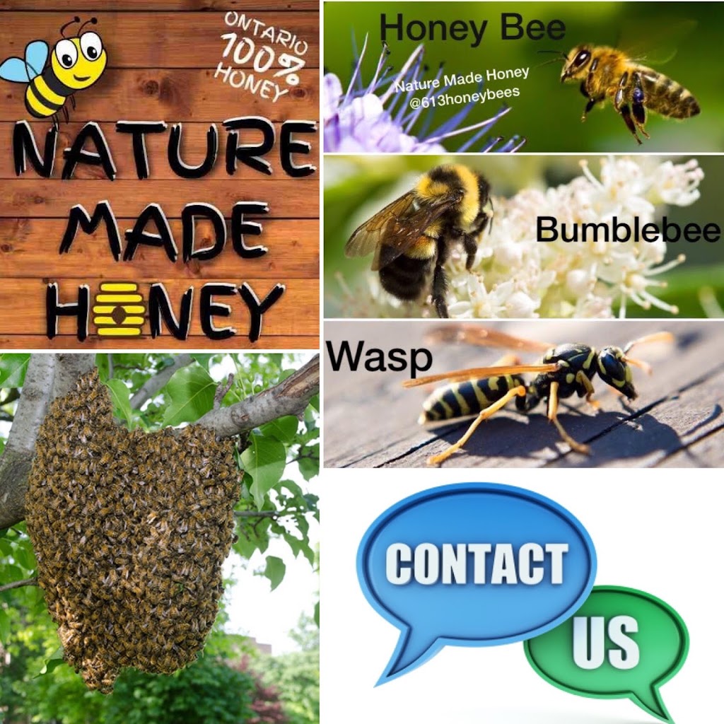 Nature Made Honey | 4918 Frank Kenny Rd, Vars, ON K0A 3H0, Canada | Phone: (613) 806-2856