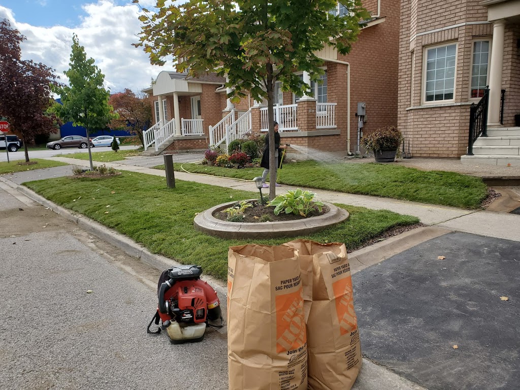 R KING LAWN CARE | 76 Castleridge Dr, Richmond Hill, ON L4B 1R8, Canada | Phone: (647) 219-8766