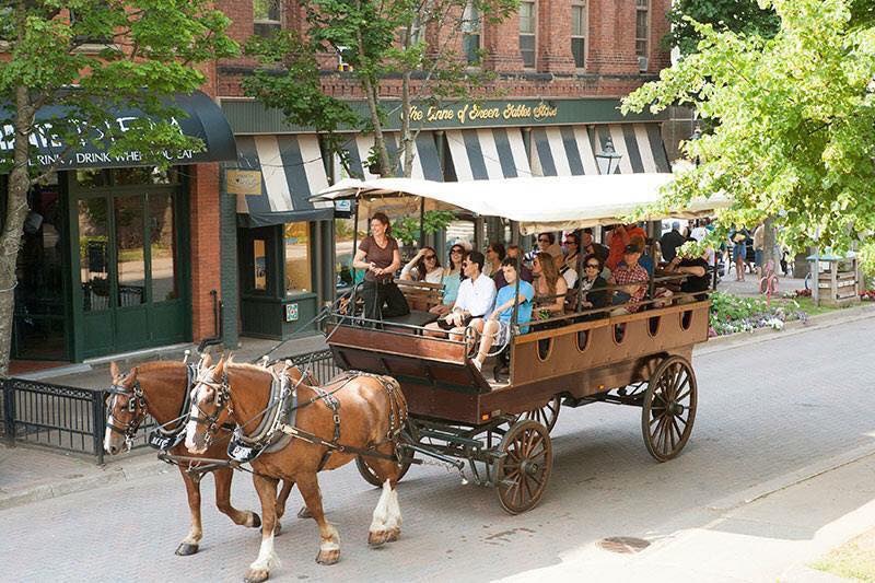 Emerald Isle Carriage Tours | 6 Prince St, Charlottetown, PE C1A 4P5, Canada | Phone: (902) 313-1000