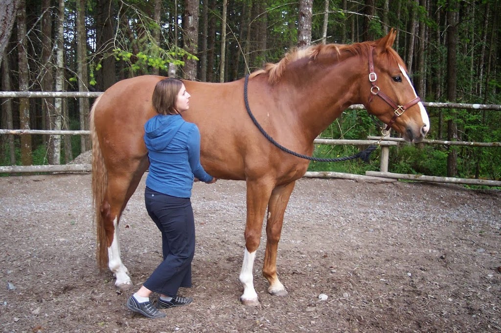 Advanced Connections Equine & Canine Therapy | 1163 Burnside Rd W, Victoria, BC V8Z 1N5, Canada | Phone: (250) 370-9951