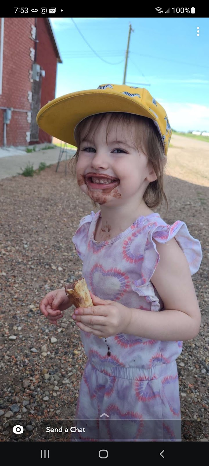 Chilly Willys Ice cream shack | 103 Main St, Heisler, AB T0B 2A0, Canada | Phone: (780) 889-2220