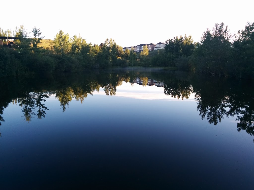 Sarina Pond | 166 R Royal Ridge Mt NW, Calgary, AB T3G 0A2, Canada