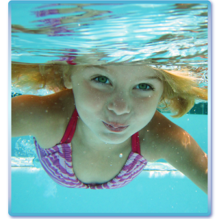 B & C Aquatics | 263 Port Union Rd, Scarborough, ON M1C 2L3, Canada | Phone: (905) 420-4141