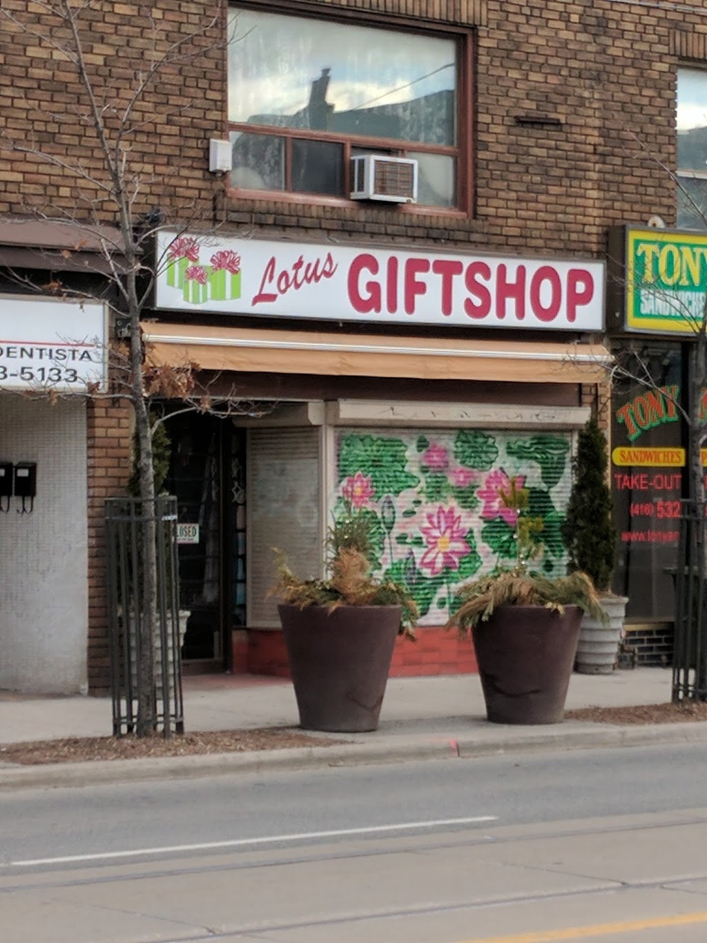 Lotus Giftshop | 1472 Dundas St W, Toronto, ON M6J 1Y6, Canada | Phone: (416) 792-0254