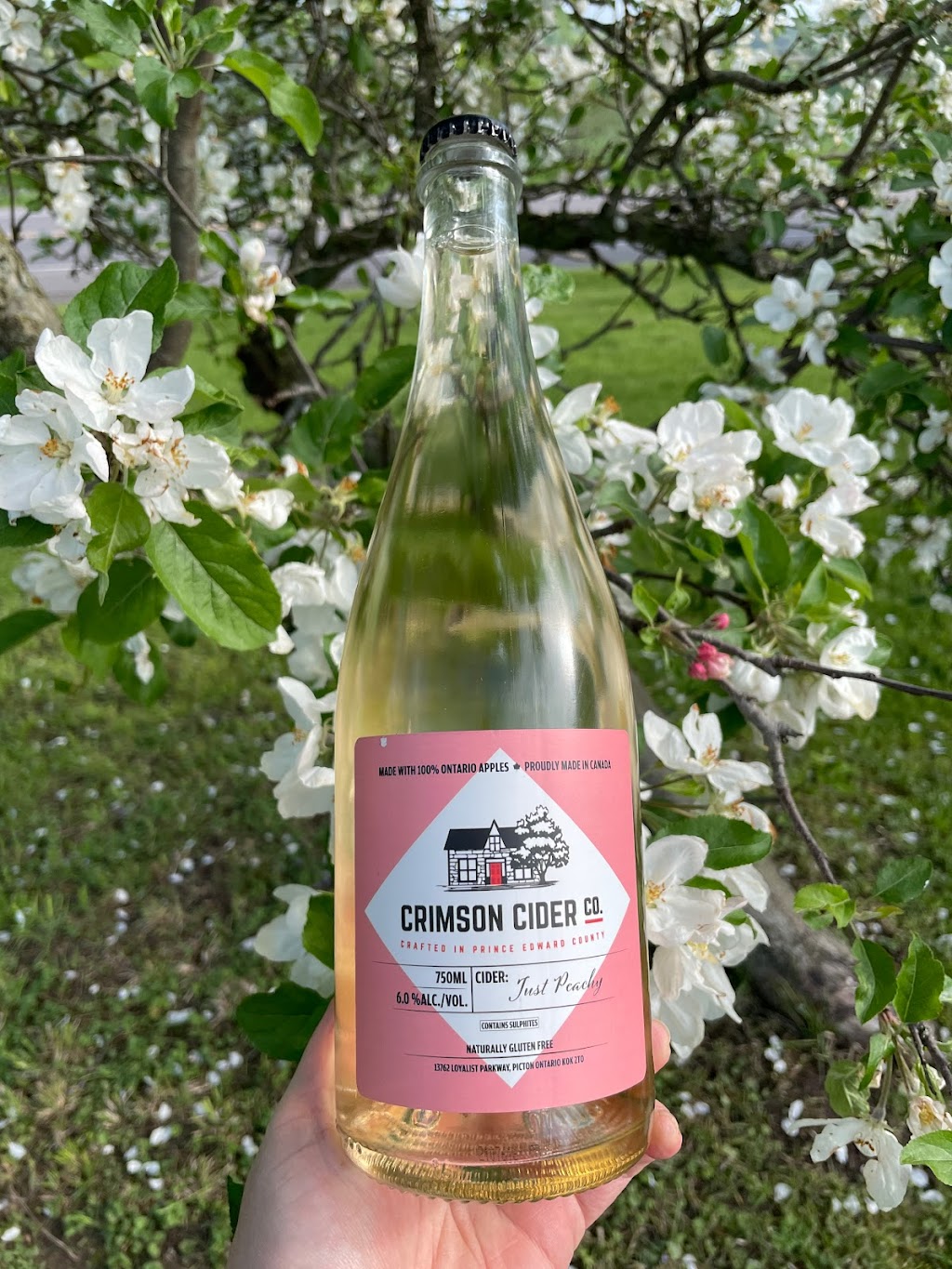 Crimson Cider Company | 13762 Loyalist Pkwy, Picton, ON K0K 2T0, Canada | Phone: (613) 229-9222