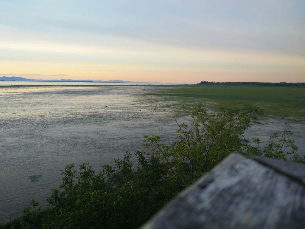 Cap-Saint-Ignace Bird Sanctuary | 147 Rue du Manoir O, Cap-Saint-Ignace, QC G0R 1H0, Canada | Phone: (800) 668-6767