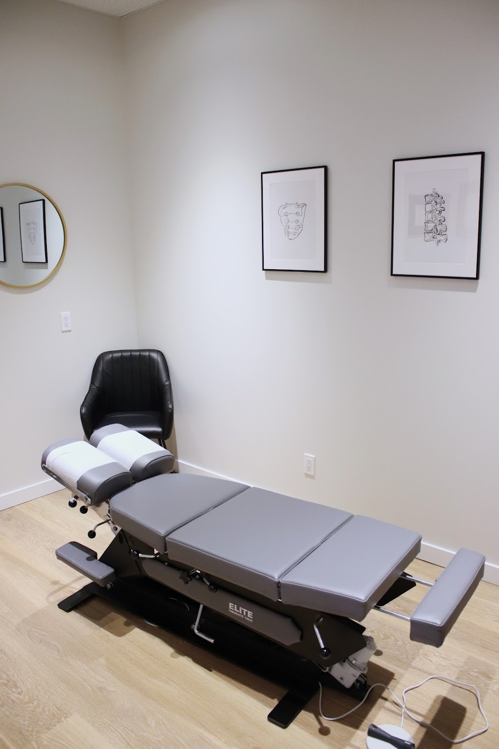 ALTA Spine and Sports Therapy | 145 Hamilton St N unit E6, Waterdown, ON L8B 0Y7, Canada | Phone: (905) 689-8282
