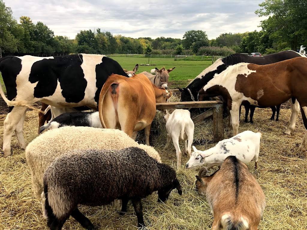 Ferme écologique du parc-nature Cap-Saint-Jacques | 183 Chem. du Cap-Saint-Jacques, Pierrefonds-Roxboro, QC H9K 1C8, Canada | Phone: (514) 648-8805