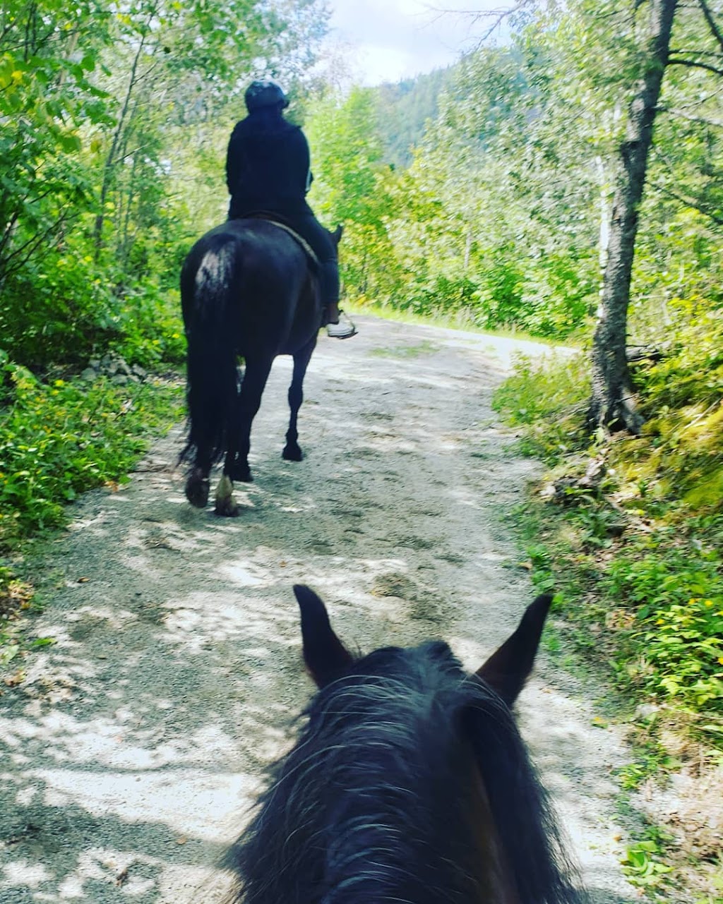 Centre Equestre Des Plateaux | 34 Chem. des Plateaux, LAnse-Saint-Jean, QC G0V 1J0, Canada | Phone: (418) 272-3231