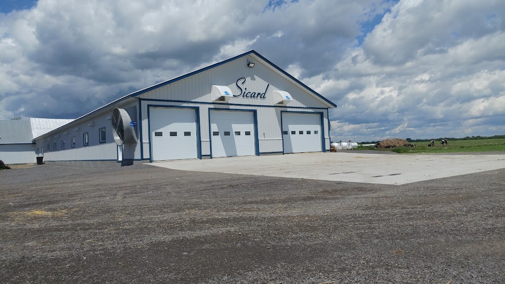 Ferme Yvon Sicard | 241 Rte Gagné, Saint-Justin, QC J0K 2V0, Canada | Phone: (819) 244-4503