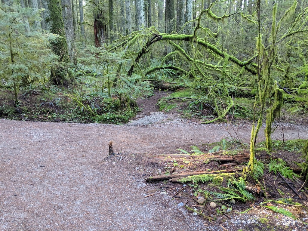 Hyannis Trail | Hyannis Dr, North Vancouver, BC V7H 2E8, Canada