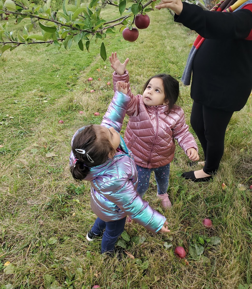 Applevale Orchards | 5144 Derry Rd, Burlington, ON L7M 0R6, Canada | Phone: (647) 988-1753