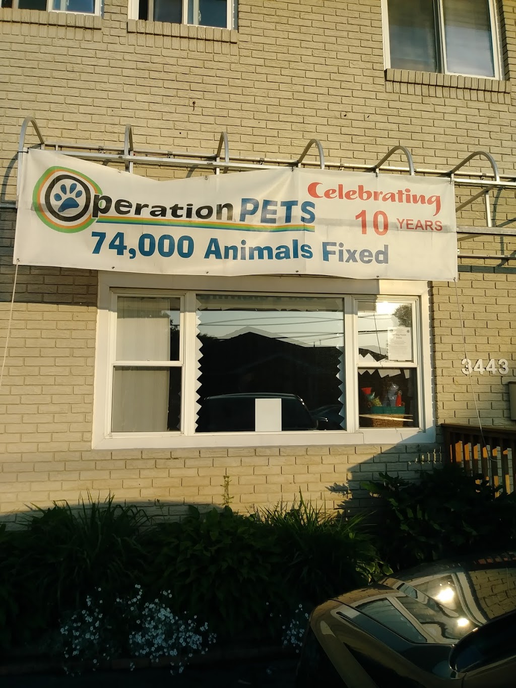 Operation Pets Spay/Neuter | 3443 South Park Ave, Buffalo, NY 14219, USA | Phone: (716) 783-8998