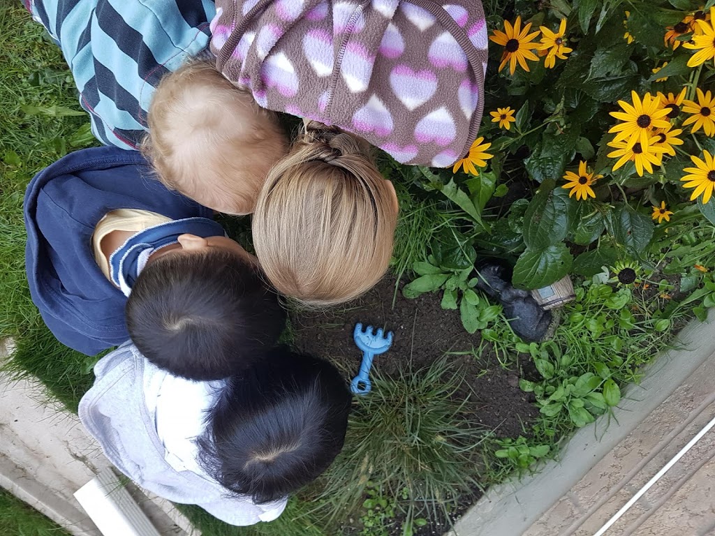 Hands in the Earth Preschool | 132 Stone Rd, Aurora, ON L4G 6Y1, Canada | Phone: (647) 637-6724