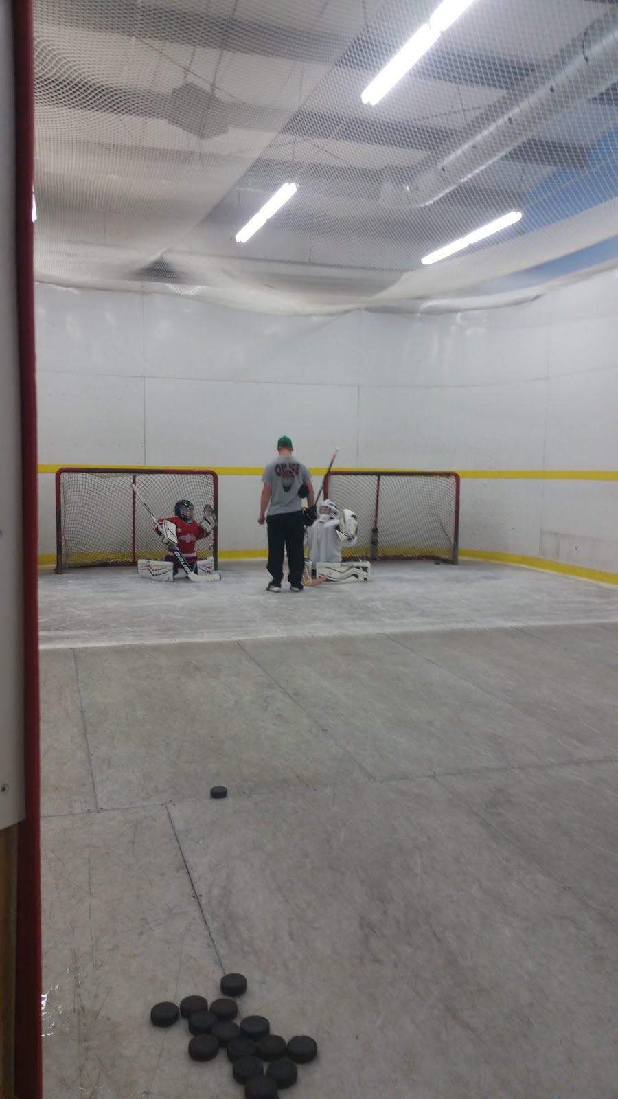 On Ice Hockey Performance Centre | 70 Hempstead Dr, Hamilton, ON L8W 2E7, Canada | Phone: (905) 574-4148