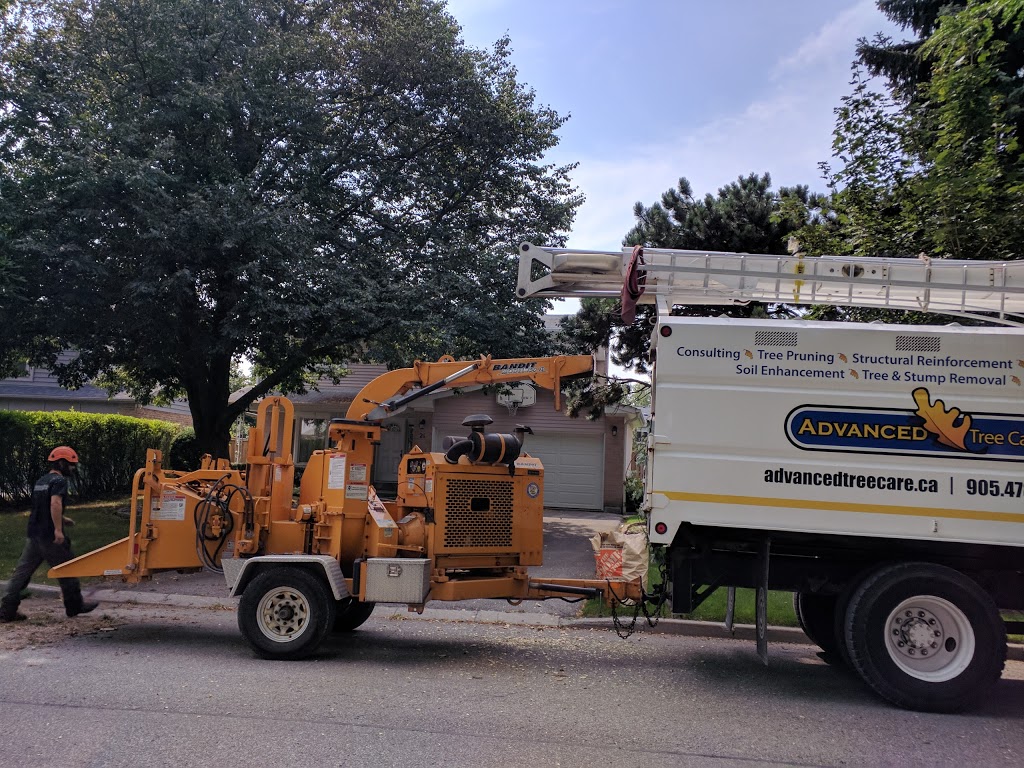 Advanced Tree Care | 1598 Queensville Side Rd, Queensville, ON L0G 1R0, Canada | Phone: (905) 478-2300