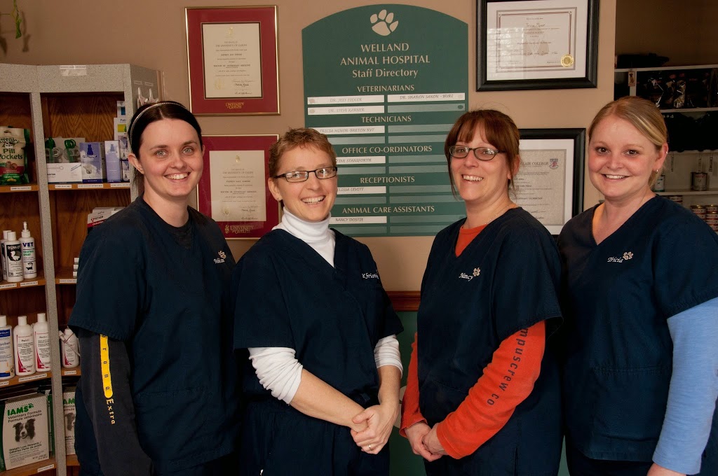 Welland Animal Hospital | 194 Thorold Rd, Welland, ON L3C 3V7, Canada | Phone: (905) 735-7410