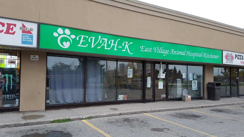 East Village Animal Hospital-Kitchener | 1500 Weber St E Unit 4, Kitchener, ON N2A 2Y5, Canada | Phone: (519) 894-2323