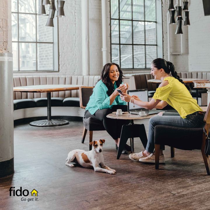 Fido | 290 Queen St W, Toronto, ON M5V 2A1, Canada | Phone: (416) 849-1855