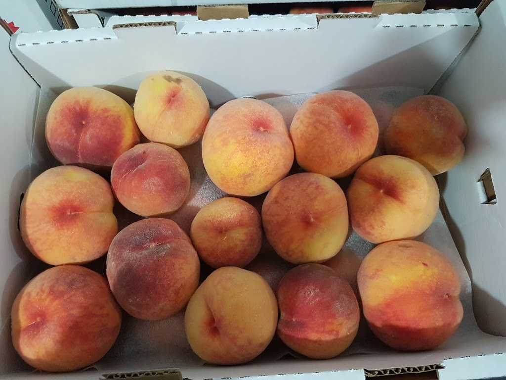 McConnells Fruit Mkt & Orchard | 7305 Solly Rd, Summerland, BC V0H 1Z1, Canada | Phone: (250) 494-5541