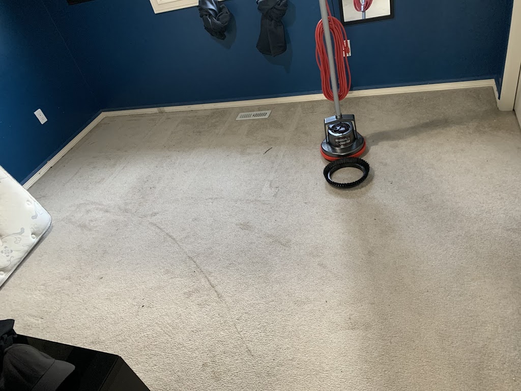 Dirt Army Carpet Cleaning | 2828 20 Ave NW, Edmonton, AB T6T 0L9, Canada | Phone: (780) 278-0133