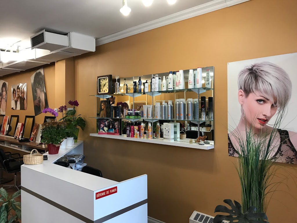 Salon Chez Elaine | 820 Rue Radisson, LaSalle, QC H8R 2X3, Canada | Phone: (514) 767-7256