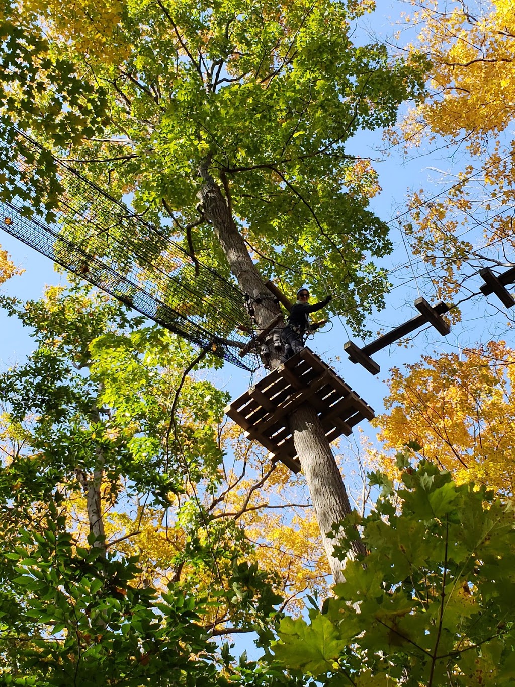 Treetop Trekking Stouffville | 3291 Stouffville Rd, Whitchurch-Stouffville, ON L4A 7X5, Canada | Phone: (844) 369-0009