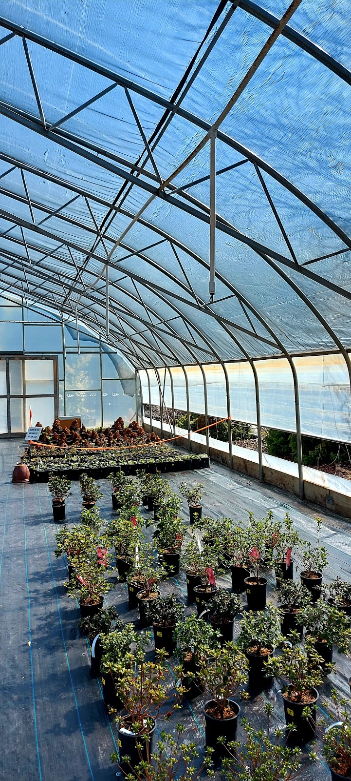 Arrowsmith Greenhouses | 2880 Alberni Hwy, Qualicum Beach, BC V9K 1Y3, Canada | Phone: (250) 752-1592