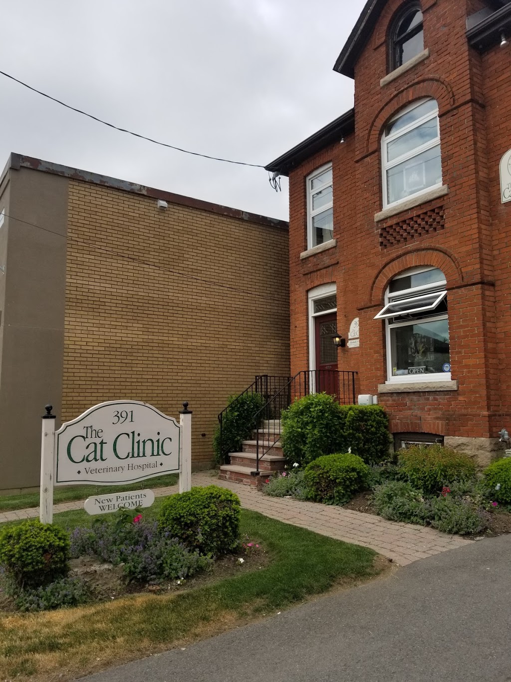 The Cat Clinic | 391 Concession St, Hamilton, ON L9A 1B8, Canada | Phone: (905) 387-4151