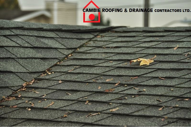 Cambie Roofing & Drainage Contractors Ltd | 1367 East Kent Ave N, Vancouver, BC V5X 4T6, Canada | Phone: (604) 261-1111