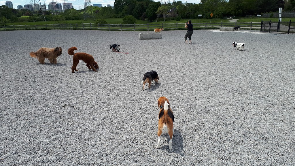 Bayview Arena Park Dog Off Leash area | 3230 Bayview Ave, North York, ON M2M 3R7, Canada | Phone: (416) 392-2489