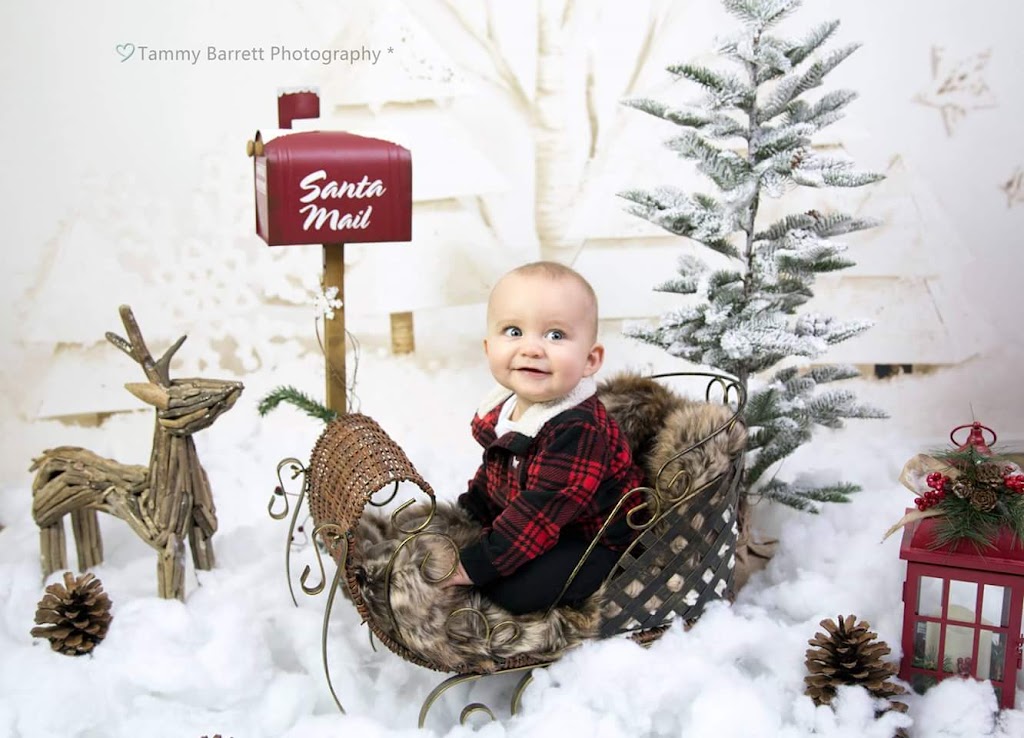 TammyBarrettPhotograpy | 26 Armcrest Dr, Lower Sackville, NS B4C 4A7, Canada | Phone: (902) 237-2922