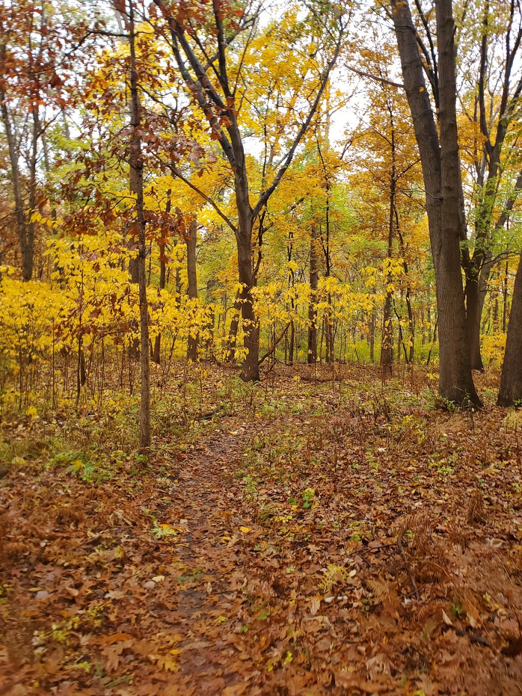 Black Oak Heritage Park | Ojibway Pkwy, Windsor, ON N9A 6S1, Canada | Phone: (519) 255-6267