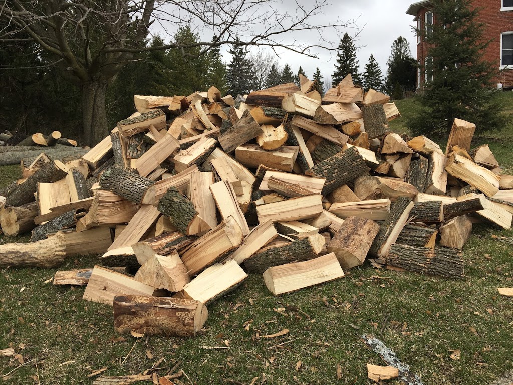 Field Side Firewood | 5699 Gamsby Rd, Orono, ON L0B 1M0, Canada | Phone: (905) 926-8965