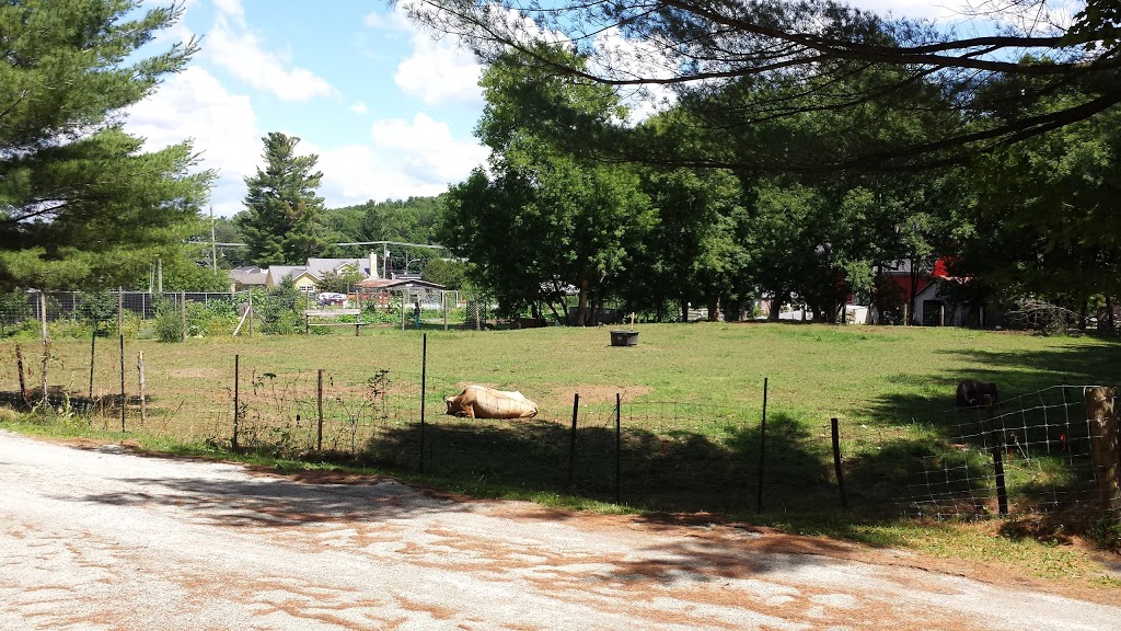 Ferme Heritage Miner | 100 Rue Mountain, Granby, QC J2G 6S1, Canada | Phone: (450) 361-6081