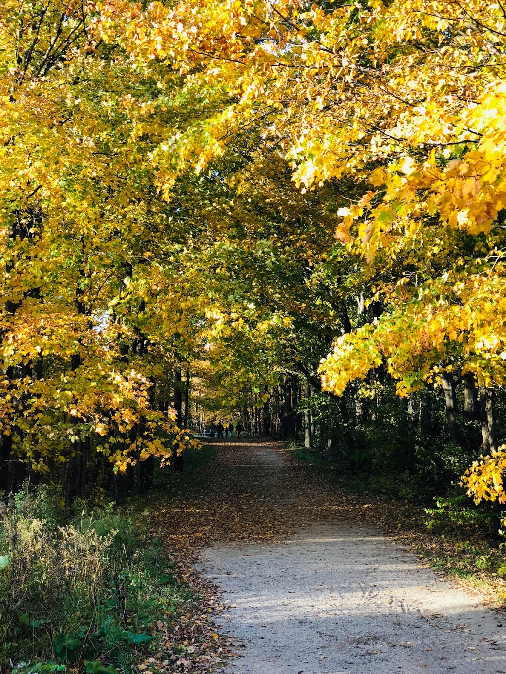 Mono Cliffs Provincial Park | 795122 3rd line, Orangeville, ON L9W 2Y8, Canada | Phone: (705) 435-2498