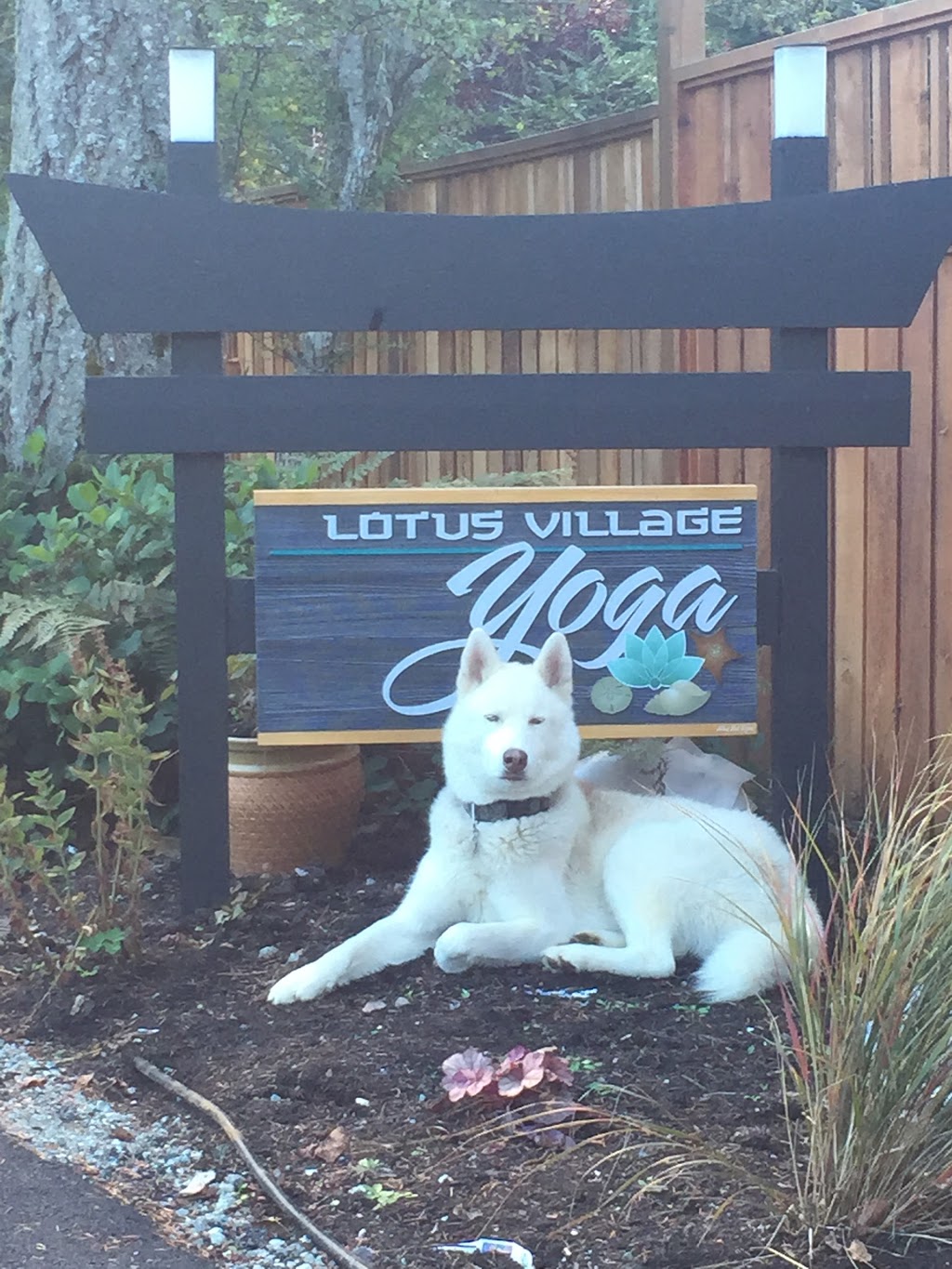 Lotus Village Yoga | 617 Wain Rd, North Saanich, BC V8L 5N8, Canada | Phone: (778) 351-3934