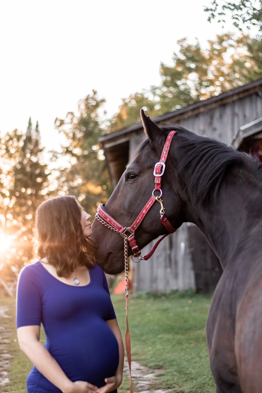 Veronik Alicia Photography | Ottawa, ON K1W 0J2, Canada | Phone: (613) 790-0024