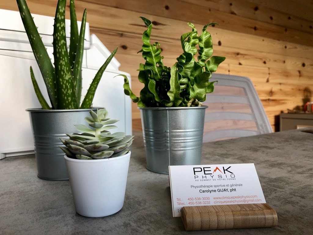 PEAK Physio | 28 A Rue Principale Sud St, Sutton, QC J0E 2K0, Canada | Phone: (450) 538-3030