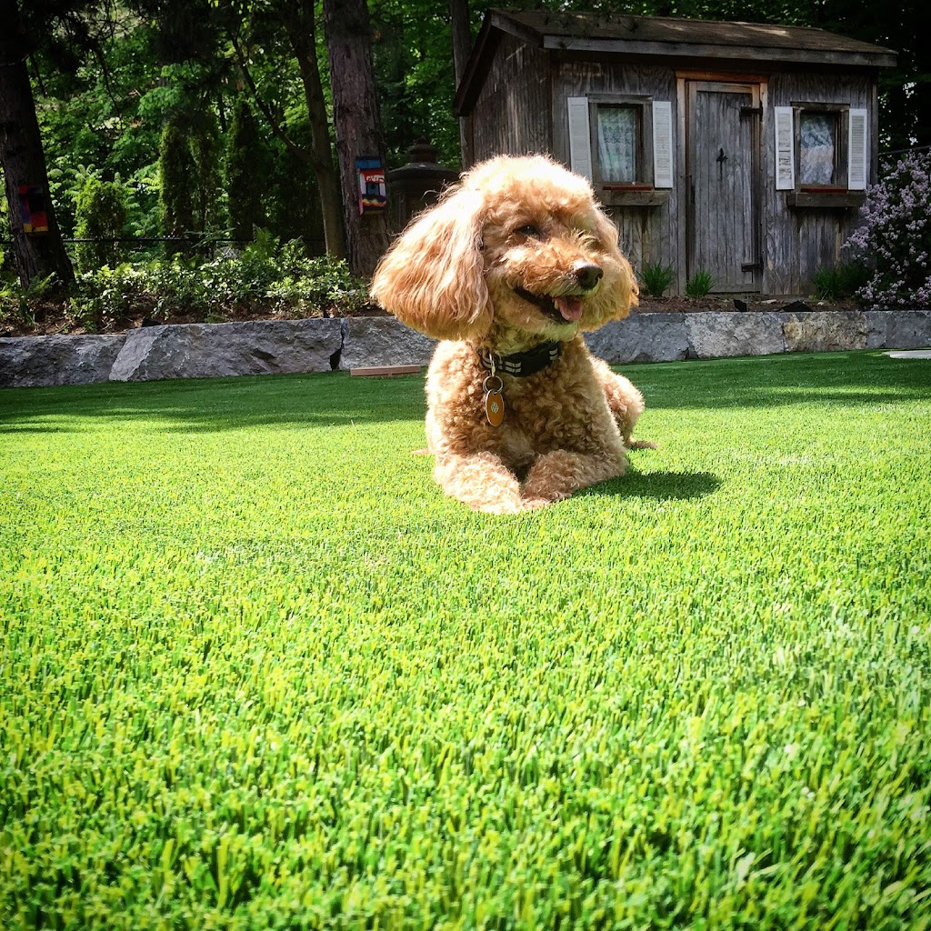 Rymar Synthetic Grass & Rubber Flooring Ottawa | 3238 Hawthorne Rd, Ottawa, ON K1G 3W9, Canada | Phone: (613) 733-9875