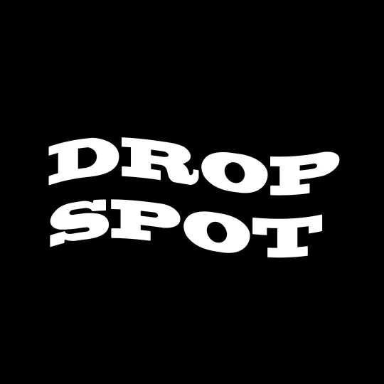 Drop Spot Vintage | 895 King St W, Hamilton, ON L8S 1K5, Canada | Phone: (519) 806-8723