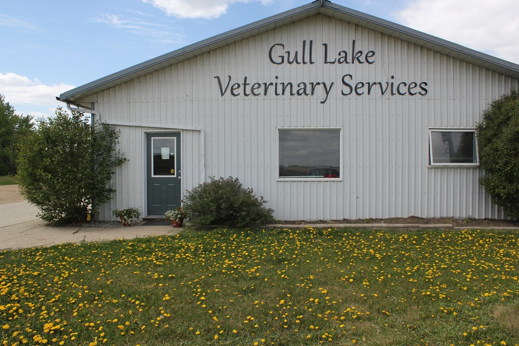 Gull Lake Veterinary Services | Lacombe County, AB T4L 2N3, Canada | Phone: (403) 782-0354