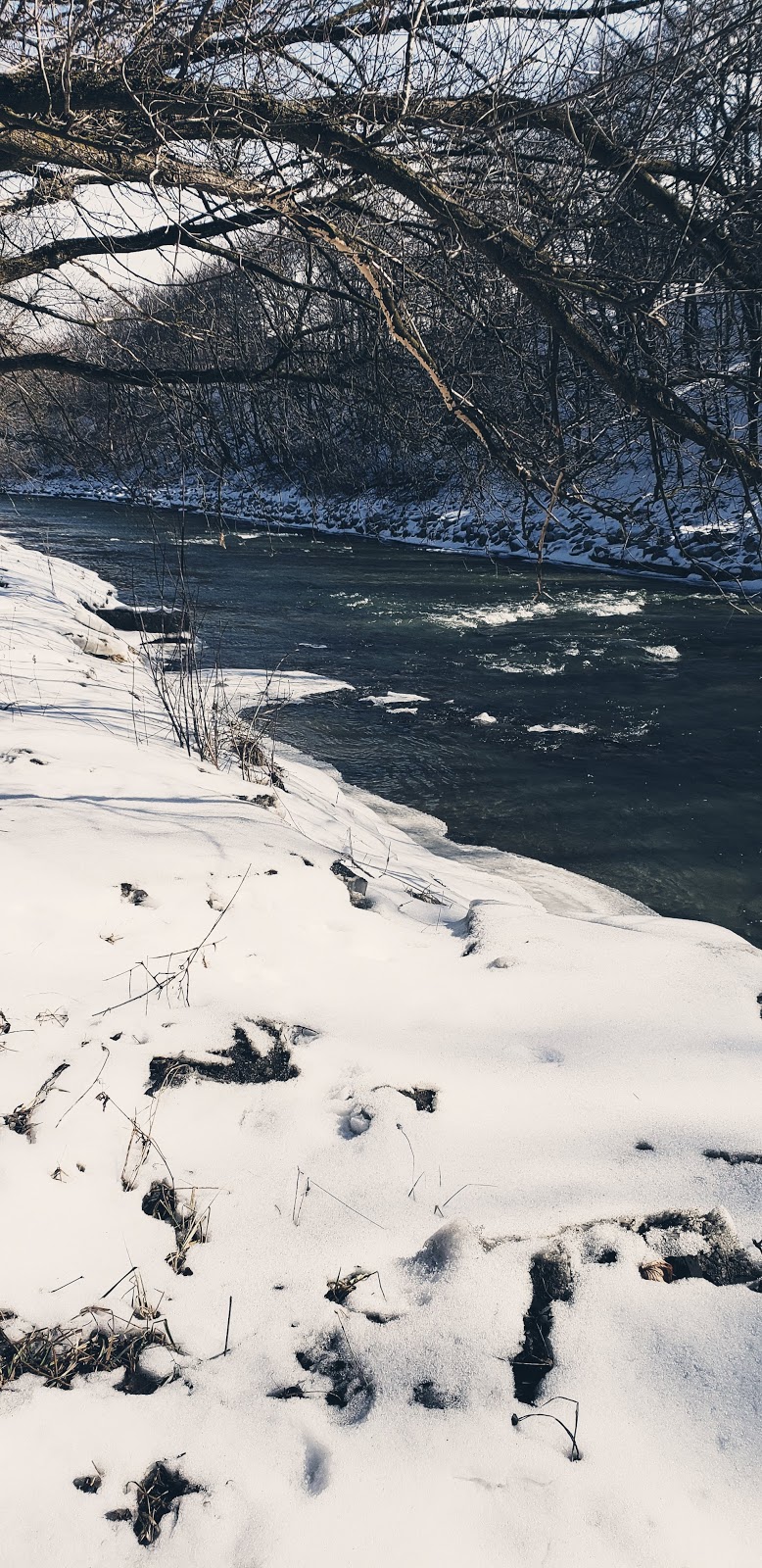 Raymore Park Dog Off Leash Area | Humber River Recreational Trail, Etobicoke, ON M9P 2S4, Canada